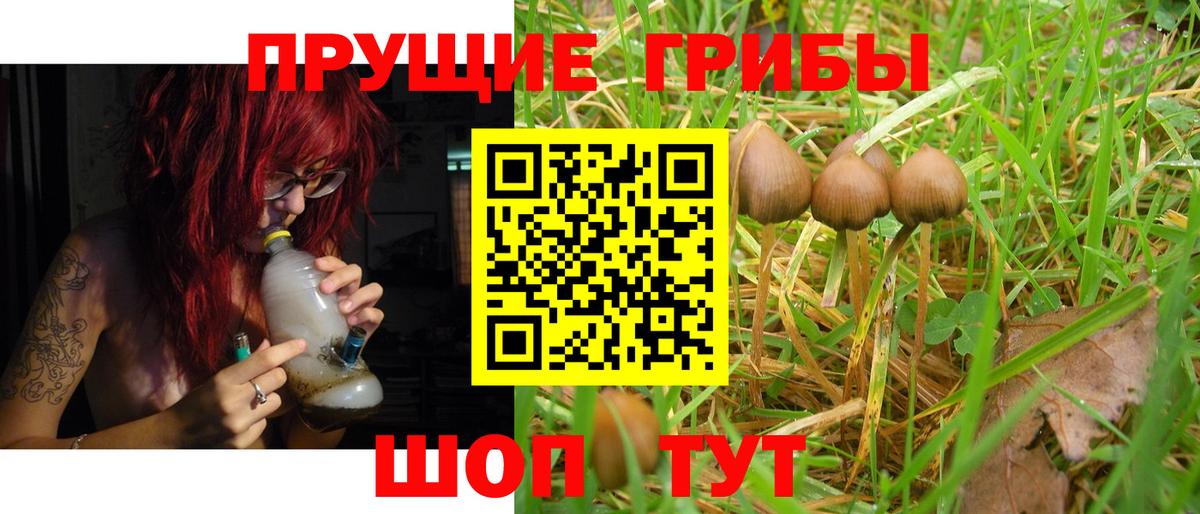Псилоцибиновые грибы GOLDEN TEACHER  Галлюциногенные грибы Magic Shrooms  Вход с VPN  Коммунар 