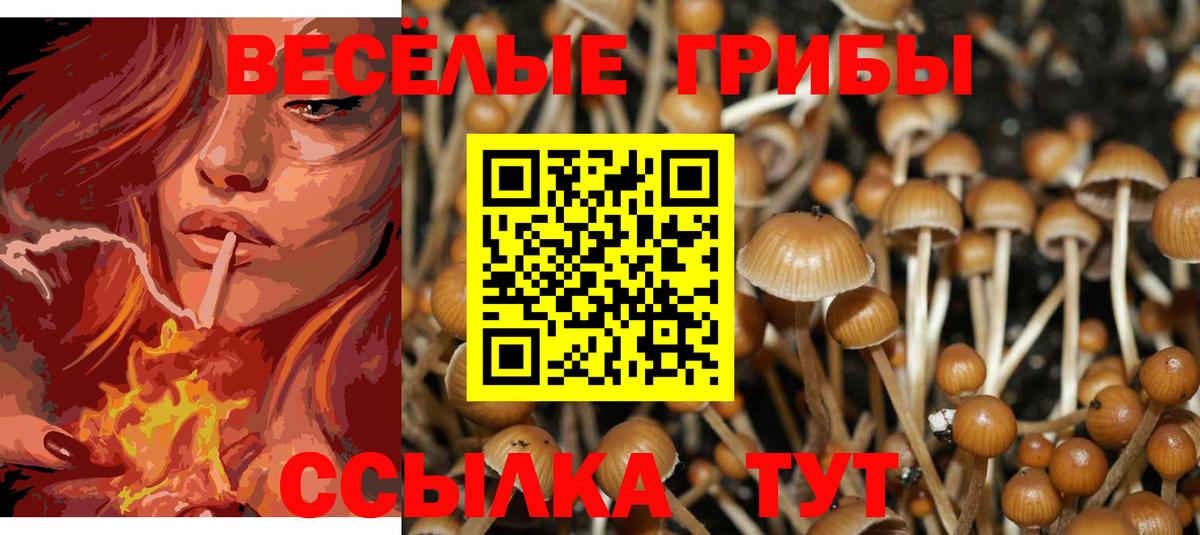 Галлюциногенные грибы мухоморы Коммунар
